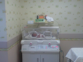 080611 (17).JPG - 47,623BYTES